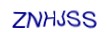 simple_captcha.jpg